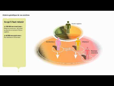 Histoire génétique de nos ancêtres