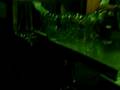 videos de octoberfest