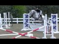 Super Hunter/ Jumper/ EQ / Warmblood for sale