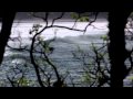 Ver Video