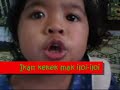 Ikan Kekek