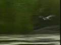 videos de The Wildlife and Scenery of Europe  Part 04