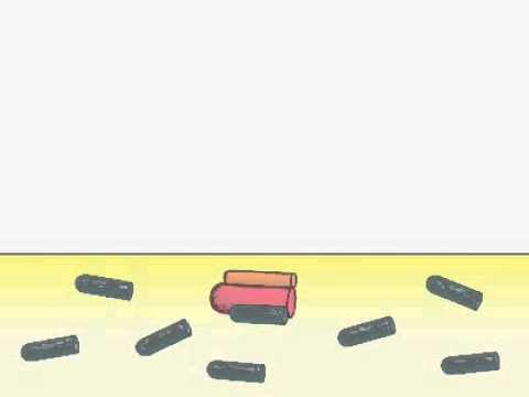 COHORT2009-squ- Classical Pathway of Complement Complement System