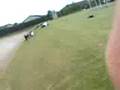Sliding down the hill