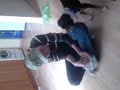 karolina-i-ramzes.html