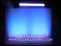 BLIZZARD LIGHTING COLORStorm 252