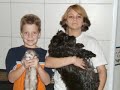 Please Help to Legalize Ferrets in California