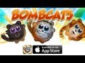 Video zu Bombcats