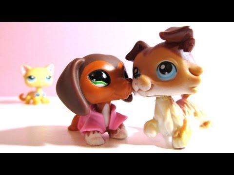Littlest Pet Shop: Popular (Episode #21: What's Done is Done)
