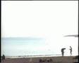 Silhouettes in a Sea Sun (2007) - La Rochelle, France