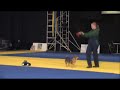 Freestyleuppvisning HUND 2007