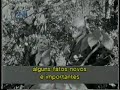 Voz do Freud