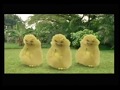 Iklan DiGi