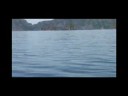 Dolphins in El Nido. theoikaris.com Dolphins in El Nido. theoikaris.com