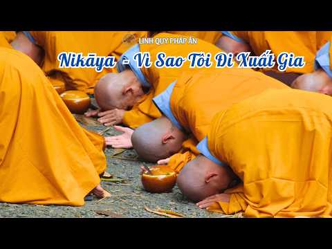 NIKAYA - Vì Sao Tôi Đi Xuất Gia 9 (26.2.2026)