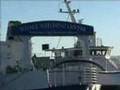 Whale Watching Conference in Iceland