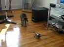 Fred flees the Roboreptile