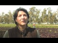 Family Farmer Talks About The Best Ways To Eat Specialty Greens