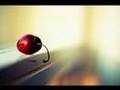 Depth of Field