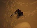 Simon dans la neige!