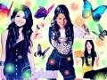 videos de My Montage 12/2/08