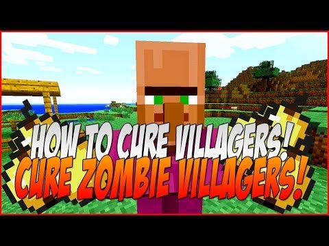 how to cure zombie villagers ps3