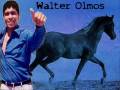 Walter Olmos 
