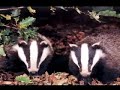 tb-or-not-tb-farming-today.html