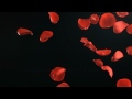 This is a video that the user has chosen on youtube