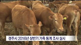뉴스데스크