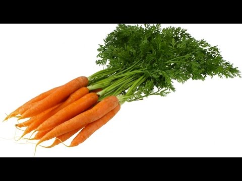 VEGETABLES - Back by popular demand! This weekend's Bonus clip is from our Health Channel at http://www.youtube.com/watchmojohealth and counts down the Top 10 Vegetables....