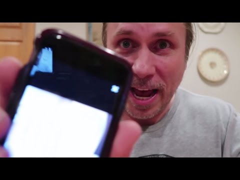 YouTube reptile video
