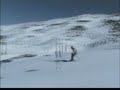 Javi Sierra Nevada