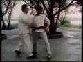 Way of the Warrior - T'ai Chi, the Soft Way [1/4]
