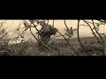 Till fj�lls - teaser