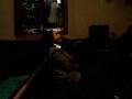 videos de Testimony