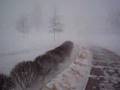 Oswego Snow Storm 2007