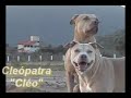 Conhe�a os volunt�rios das V�deo Aulas