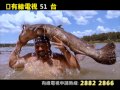 國家地理頻道五月節目推介 國家地理頻道五月節目推介
