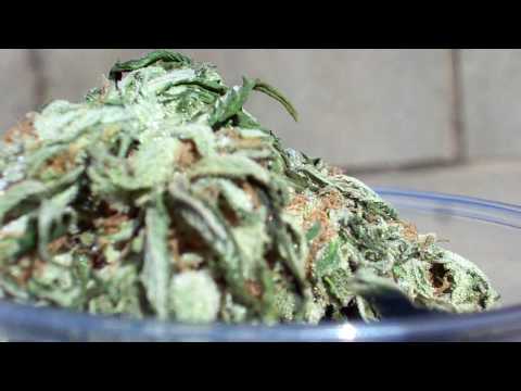 sour desil weed