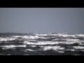 Windsurfing Dollymount Mikey Clancy IR-253