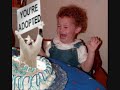 funny cats the 4th funny cats the 4th