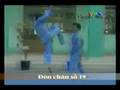 Đòn Chân Tấn Công số 19 - Vovinam Technical Program