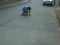 videos de longboard pipe pollo