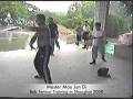 videos de Lung-Hsing Bagua Zhang,9