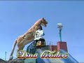 dina condori dina condori