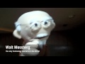 Mosspuppet: "Arrington's bad JooJoo"