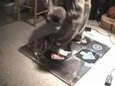DDR Max 2 Days go by DDR Max 2 Days go by
