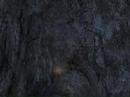 Unbelievable Mountain Stick