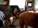 Ken and Juneau playing Ken and Juneau playing